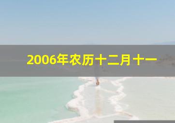 2006年农历十二月十一