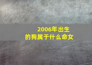 2006年出生的狗属于什么命女