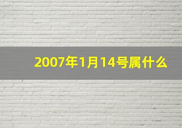 2007年1月14号属什么