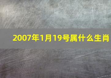 2007年1月19号属什么生肖