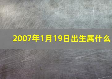 2007年1月19日出生属什么