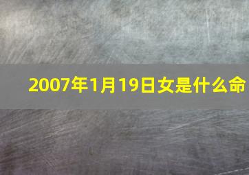 2007年1月19日女是什么命