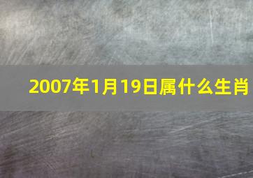 2007年1月19日属什么生肖