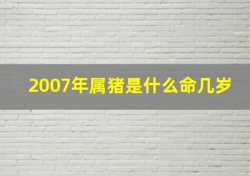 2007年属猪是什么命几岁