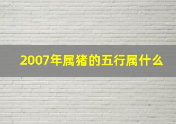 2007年属猪的五行属什么