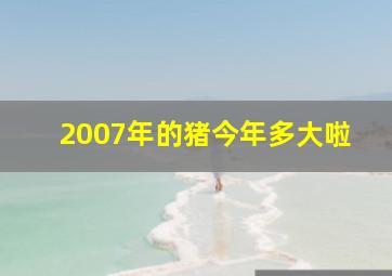 2007年的猪今年多大啦