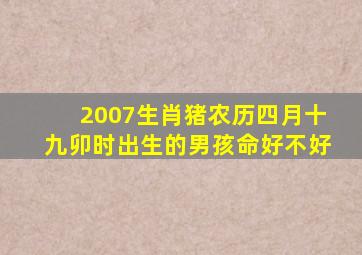 2007生肖猪农历四月十九卯时出生的男孩命好不好