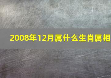 2008年12月属什么生肖属相