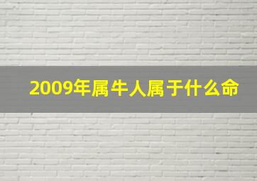 2009年属牛人属于什么命