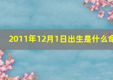 2011年12月1日出生是什么命