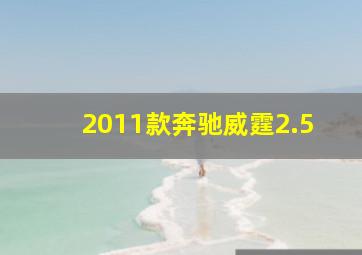 2011款奔驰威霆2.5