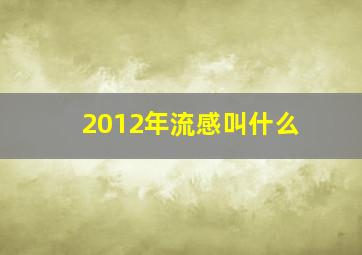 2012年流感叫什么