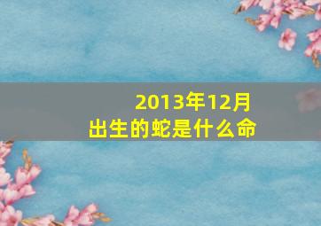 2013年12月出生的蛇是什么命