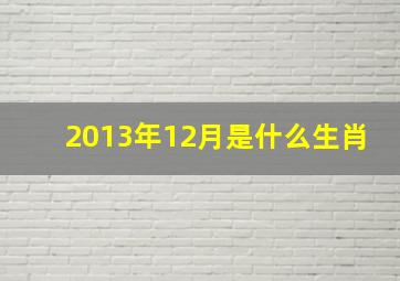 2013年12月是什么生肖