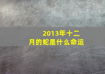 2013年十二月的蛇是什么命运