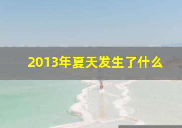 2013年夏天发生了什么