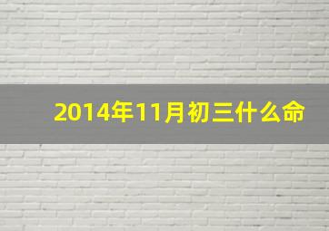 2014年11月初三什么命