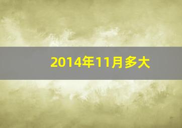 2014年11月多大