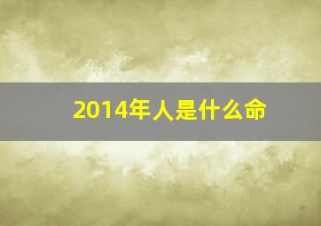 2014年人是什么命