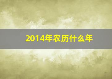 2014年农历什么年