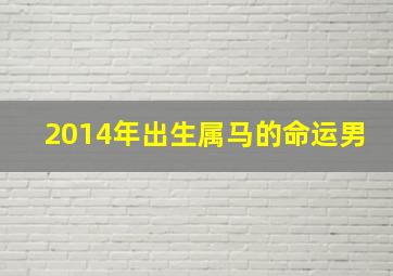 2014年出生属马的命运男