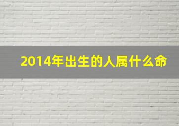 2014年出生的人属什么命