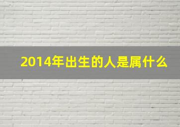 2014年出生的人是属什么