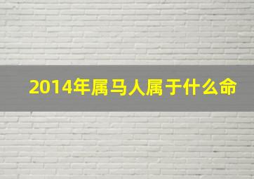 2014年属马人属于什么命