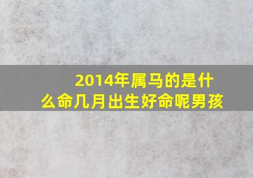 2014年属马的是什么命几月出生好命呢男孩