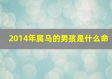 2014年属马的男孩是什么命