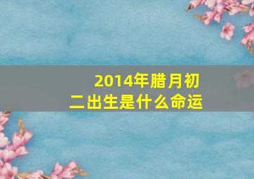 2014年腊月初二出生是什么命运