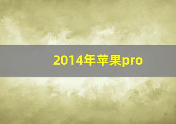 2014年苹果pro