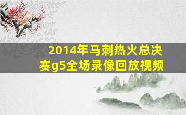 2014年马刺热火总决赛g5全场录像回放视频