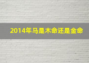 2014年马是木命还是金命