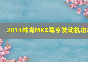 2014林肯MKZ尊亨发动机功率