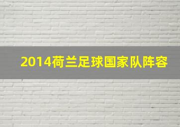 2014荷兰足球国家队阵容