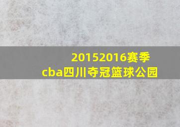 20152016赛季cba四川夺冠篮球公园