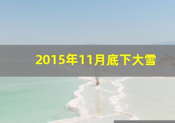 2015年11月底下大雪