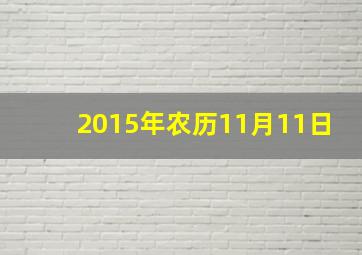 2015年农历11月11日