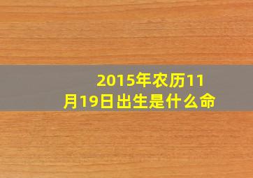 2015年农历11月19日出生是什么命