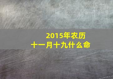 2015年农历十一月十九什么命