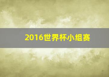 2016世界杯小组赛