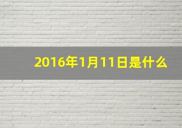 2016年1月11日是什么