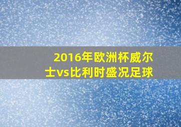 2016年欧洲杯威尔士vs比利时盛况足球