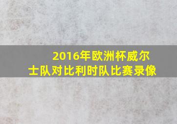 2016年欧洲杯威尔士队对比利时队比赛录像