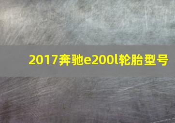 2017奔驰e200l轮胎型号