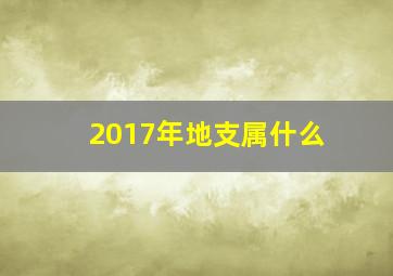 2017年地支属什么