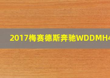 2017梅赛德斯奔驰WDDMH4DB图