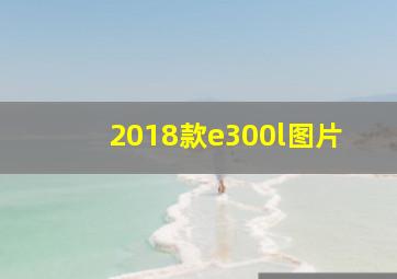 2018款e300l图片