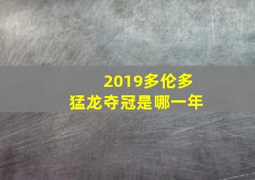 2019多伦多猛龙夺冠是哪一年